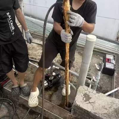 室外排水管長樹根