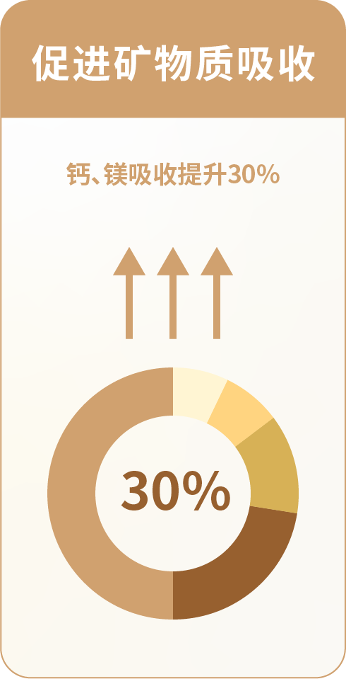 Promotes mineral absorption