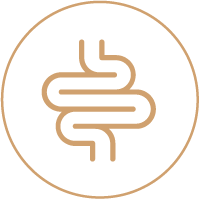 Boosts Gut Motility